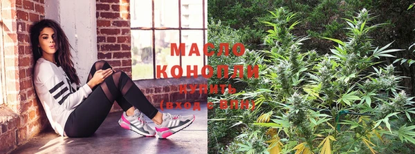 PSILOCYBIN Алзамай