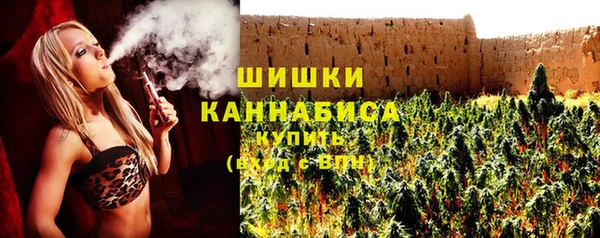 PSILOCYBIN Алзамай