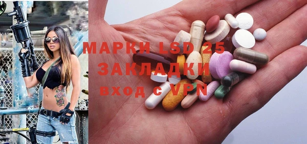 PSILOCYBIN Алзамай