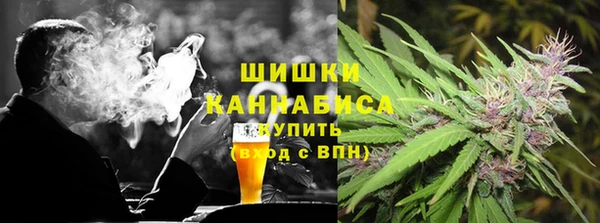 PSILOCYBIN Алзамай