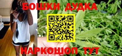 гашик Бийск