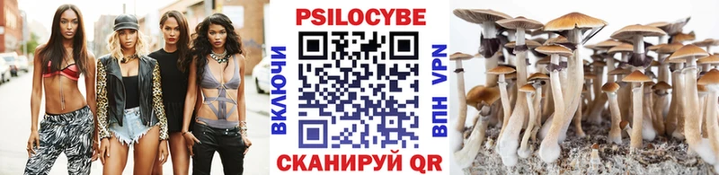 Псилоцибиновые грибы Psilocybe  Мытищи 