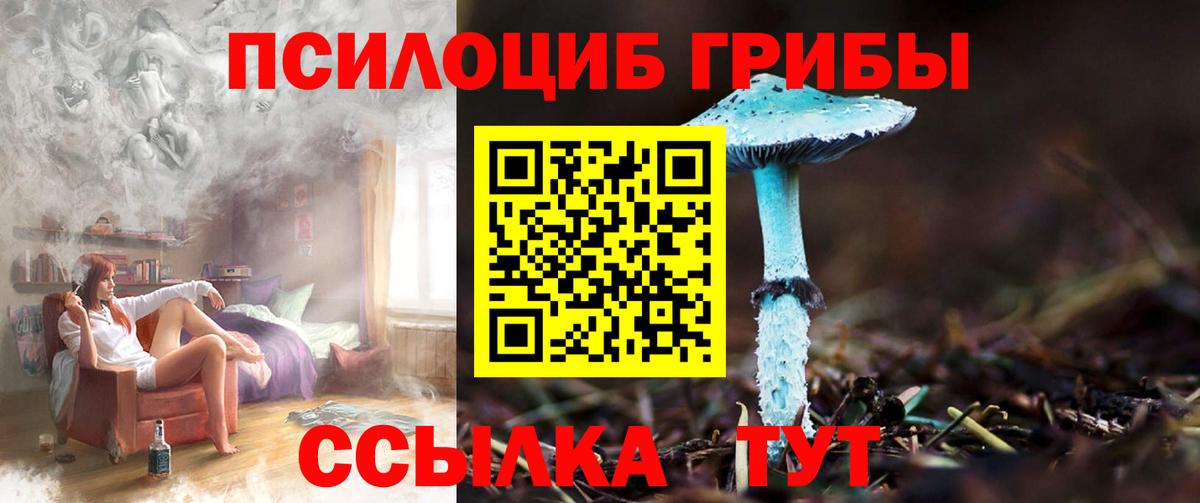 Мытищи  Псилоцибиновые грибы MAGIC MUSHROOMS  магазин продажи наркотиков  Вход с VPN 
