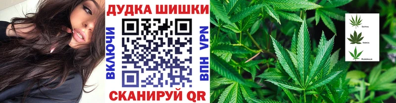 Бошки Шишки планчик  Мытищи 
